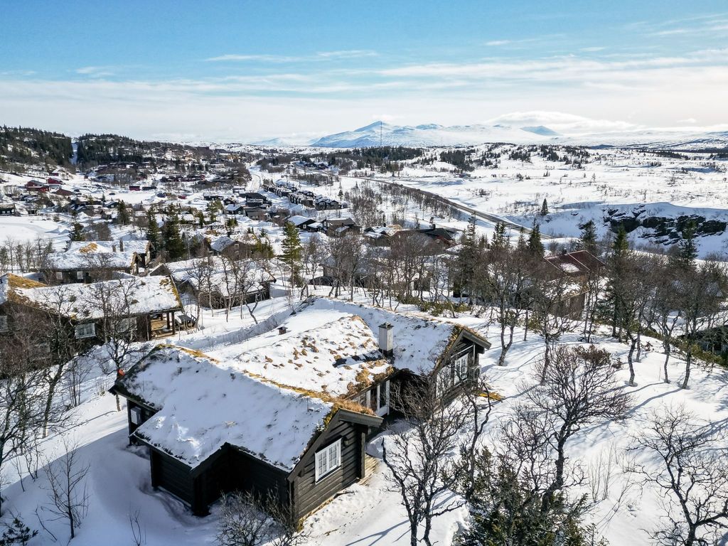 Fjälldrömmen