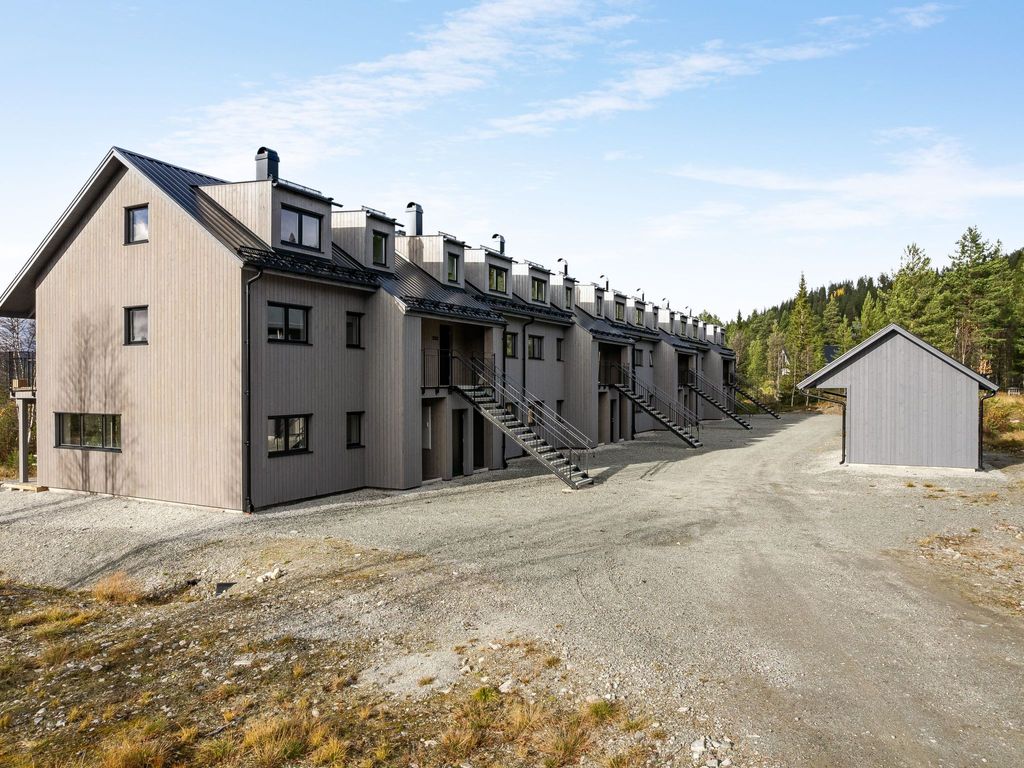 Renstråket 1001