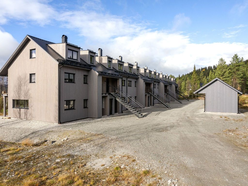 Renstråket 1003