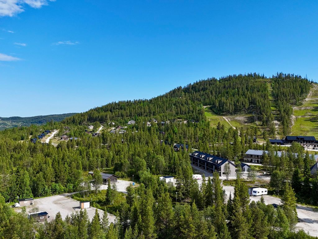 Renstråket 2003