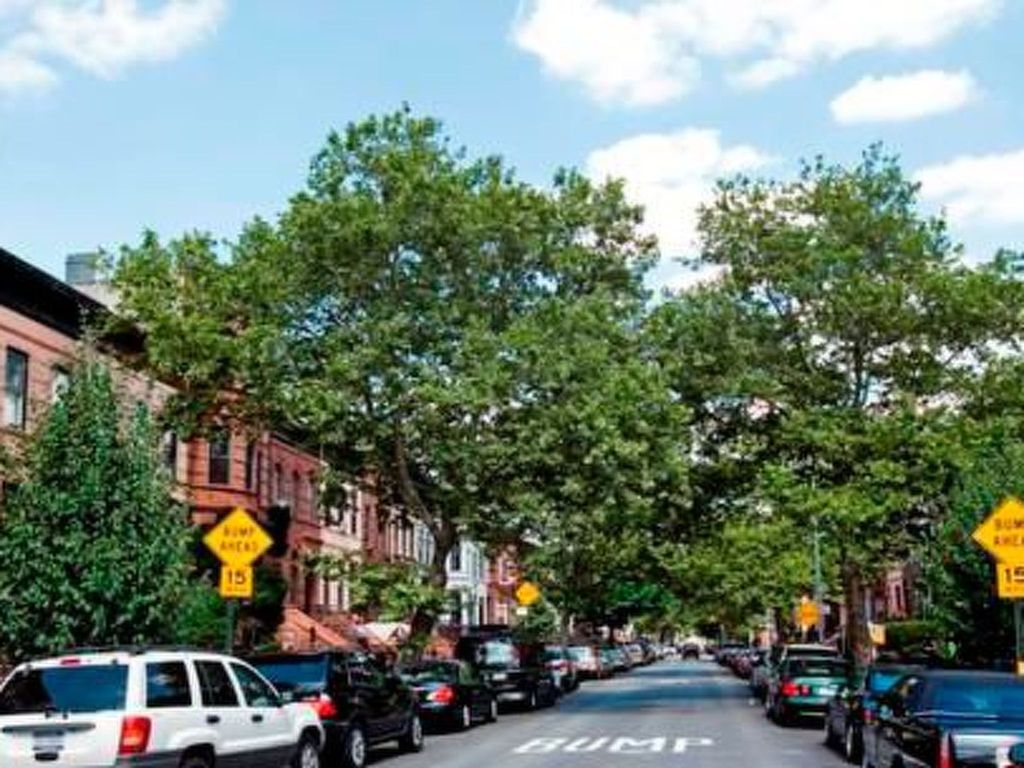 "Bedstuy Belle"