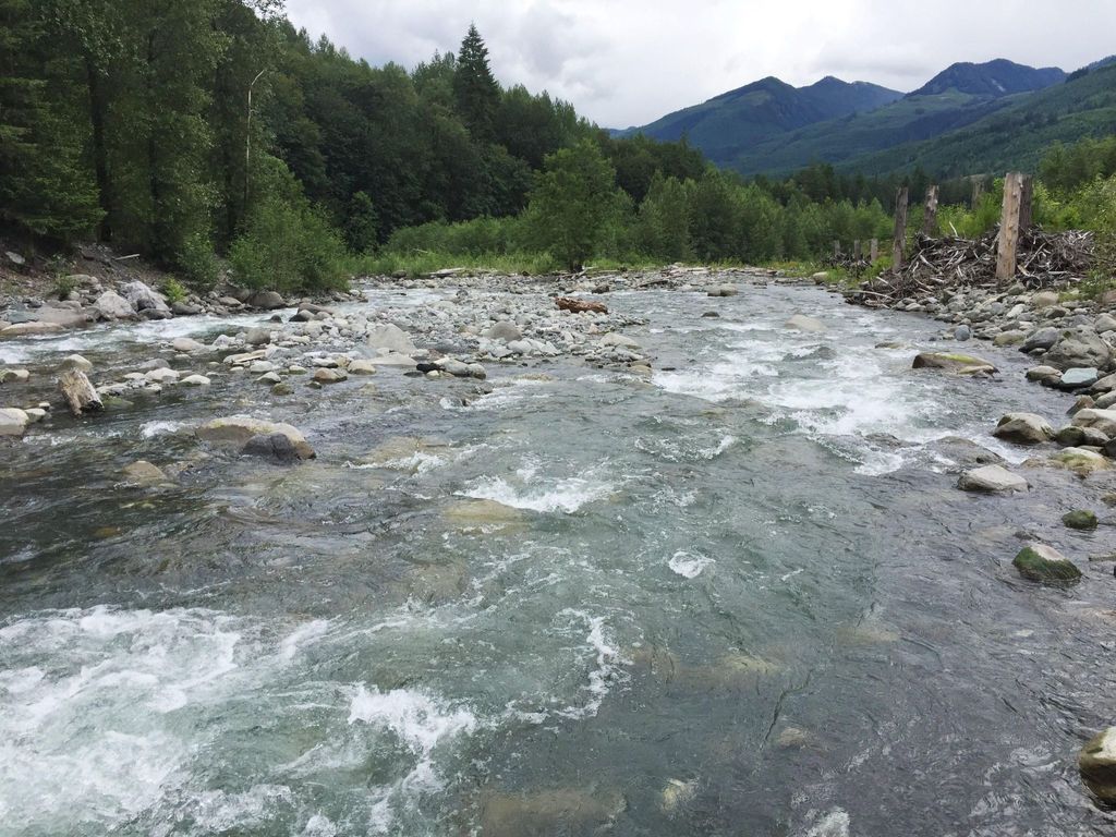 Hütte 15 mit Whirlpool, Wi-Fi, Haustiere erlaubt