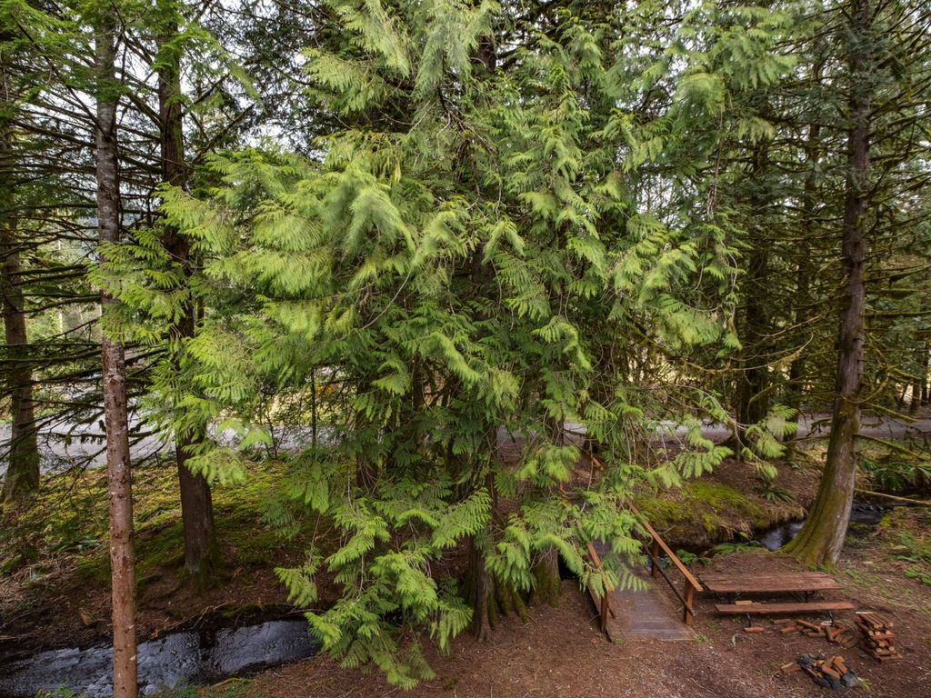 Tolle kleine Eigentumswohnung mit Kamin und Wi-F