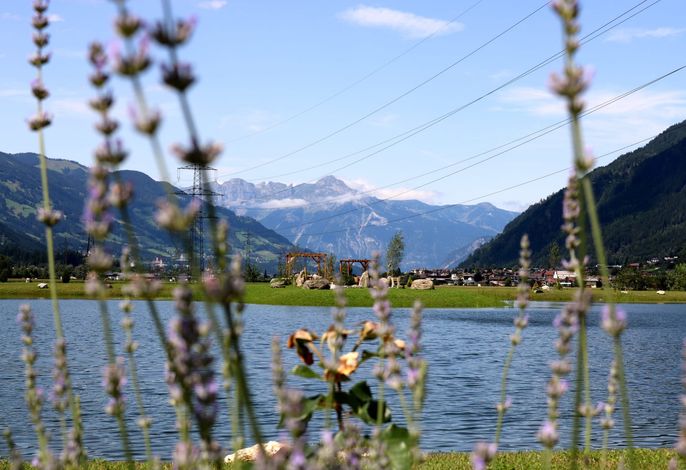 Bild 74