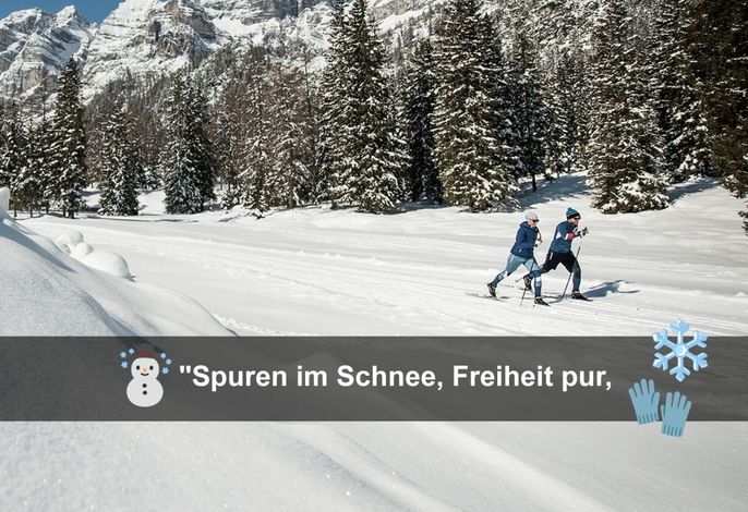 Bild 71