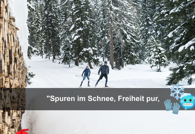 Bild 73