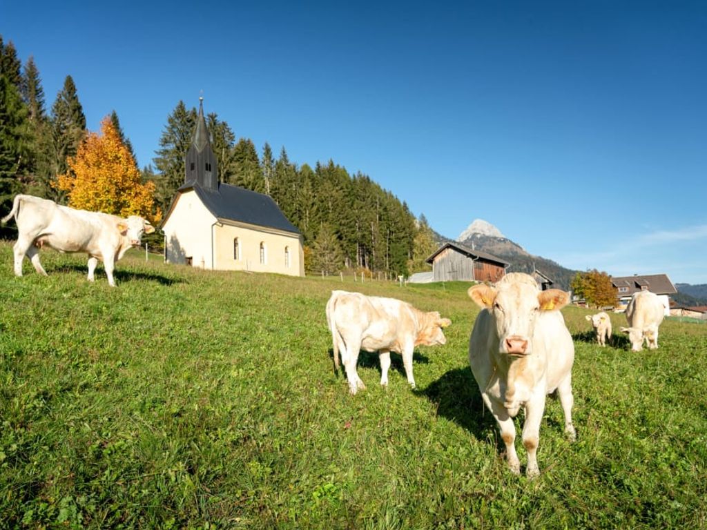 Hauserhof am Goldberg