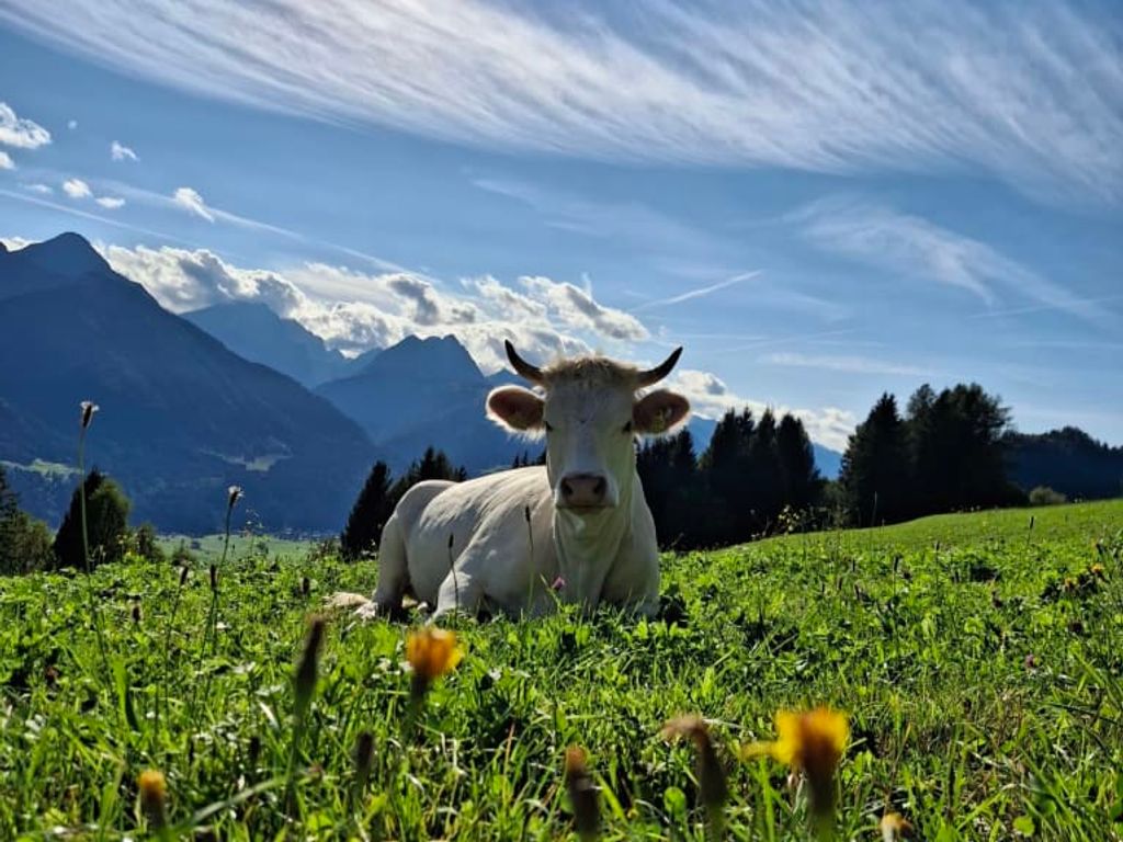 Hauserhof am Goldberg
