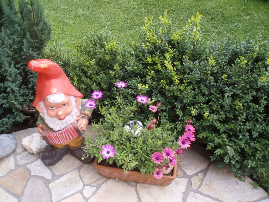 Blumen erfreuen uns