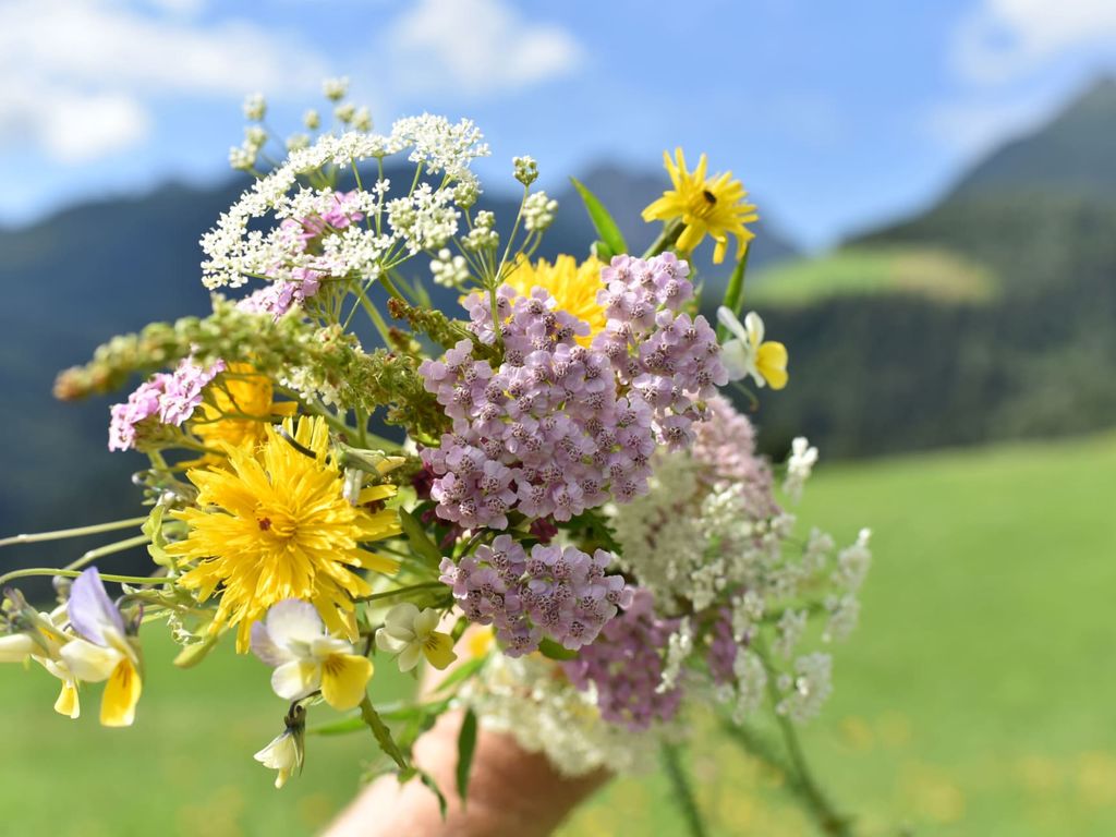 Bauernhof Pergila