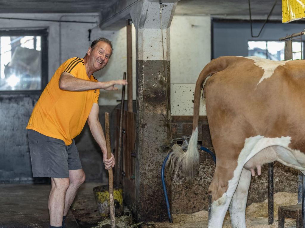 Stall