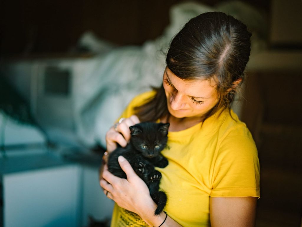 Katzen, Katzenbabys