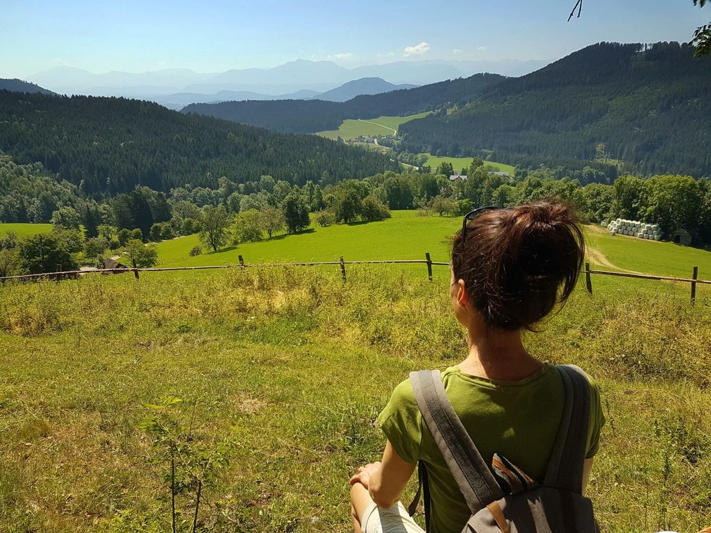 Weitläufige grüne Täler und bewaldete Berglandschaft in der Umgebung des Ferienhauses.