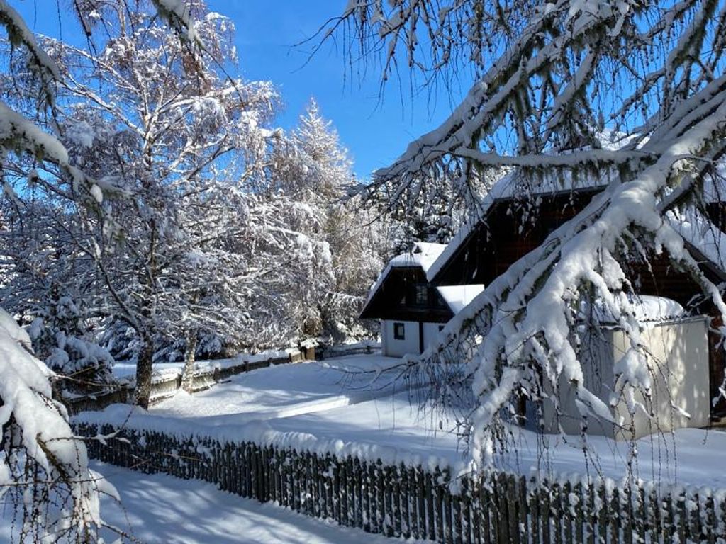 Das Ferienhaus im Winter, umgeben von schneebedeckten Bäumen.