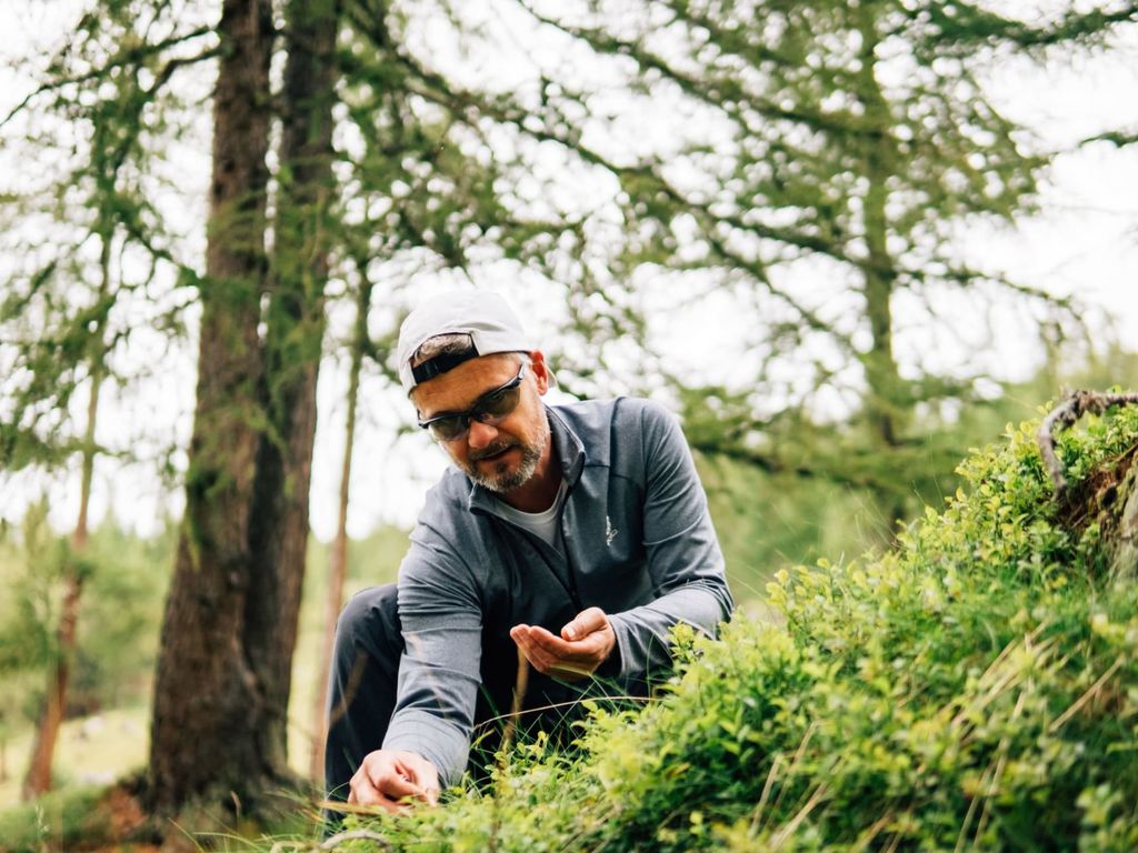 Ein Gast erkundet die Pflanzenwelt im Wald in der Umgebung der Alm.