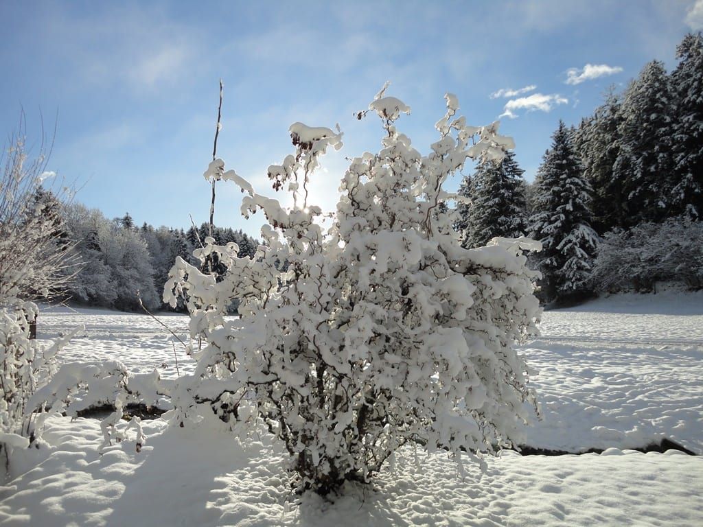 winterstimmung
