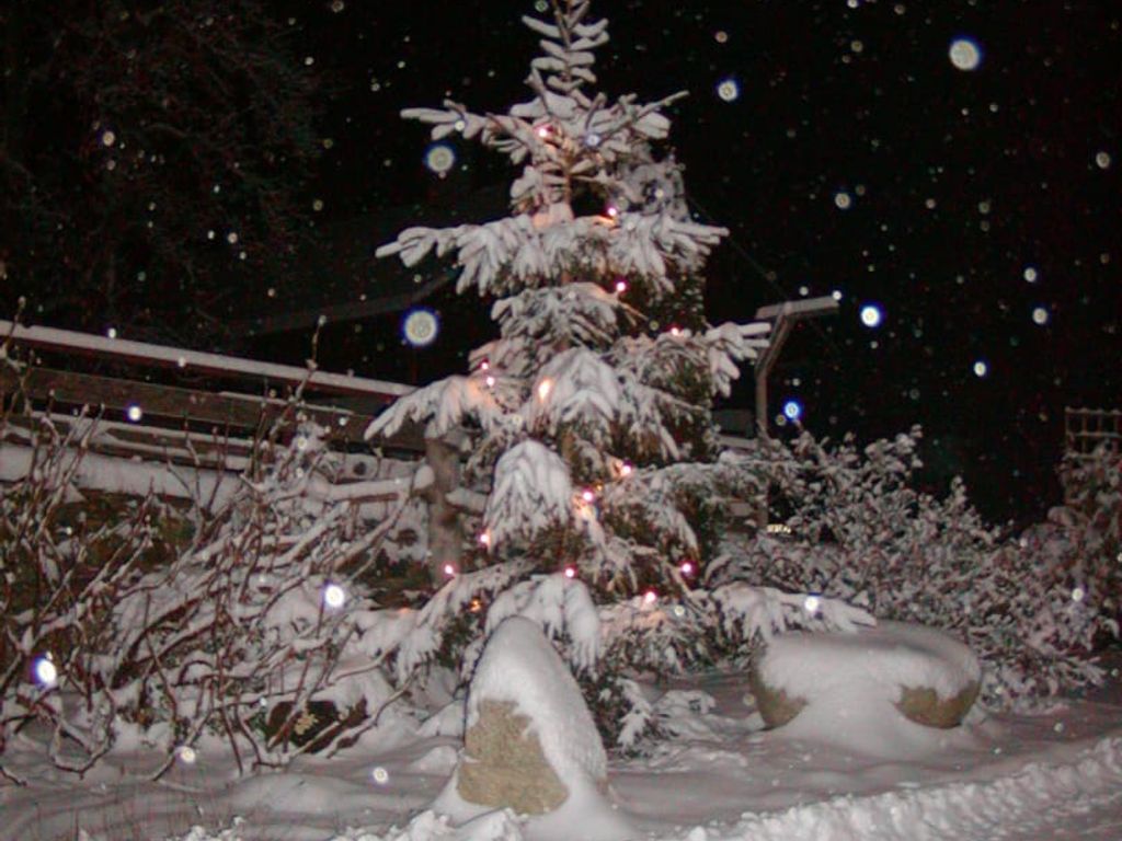 Waldpension Ranner