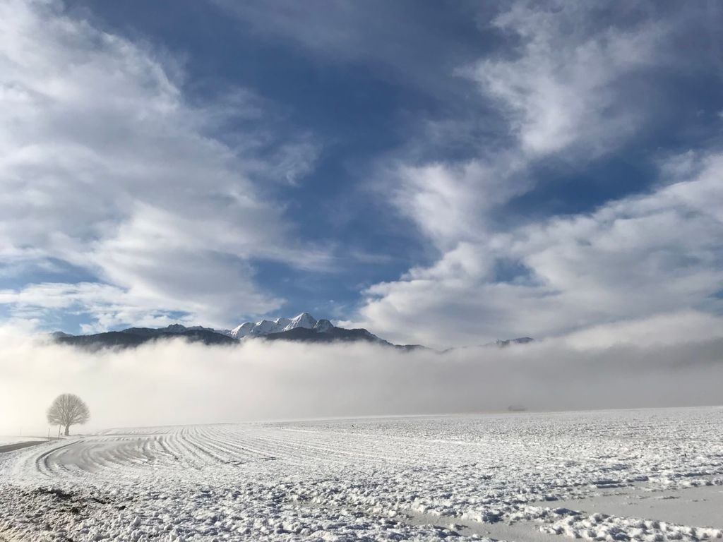 Panoramalage