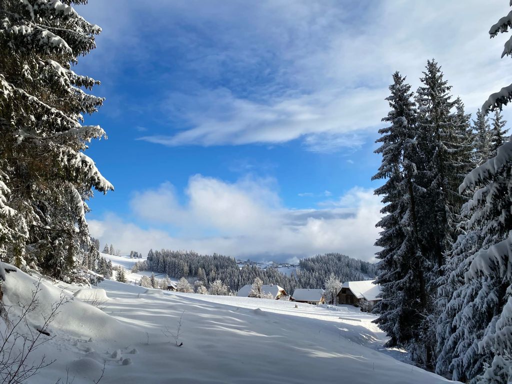 Die verschneite Winterlandschaft mit Tannenbäumen und den Gebäuden des Bauernhofs in der Ferne.