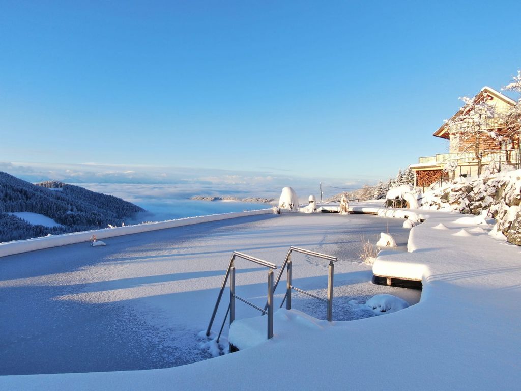 Der vereiste Naturbadeteich des Bauernhofs im Winter, mit Blick über die Nebelgrenze.
