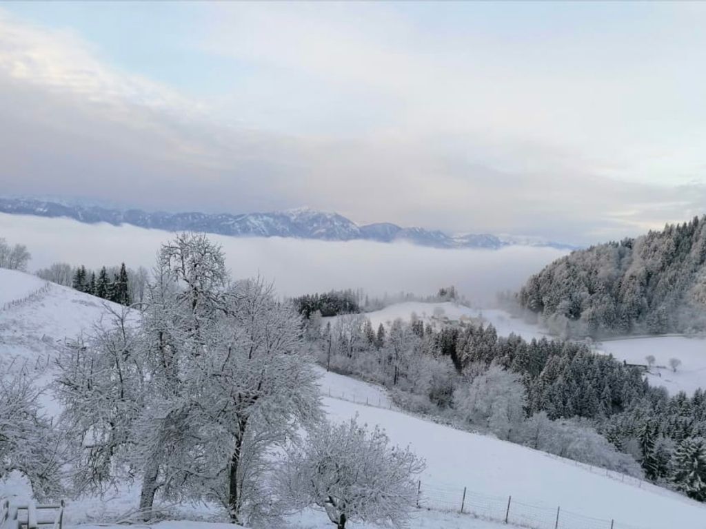 Winterliche Aussicht vom Bauernhof auf die schneebedeckte Landschaft mit Bäumen und Bergen, die aus dem Talnebel ragen.