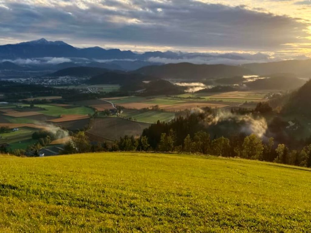 Bio Bauernhof Kräuter