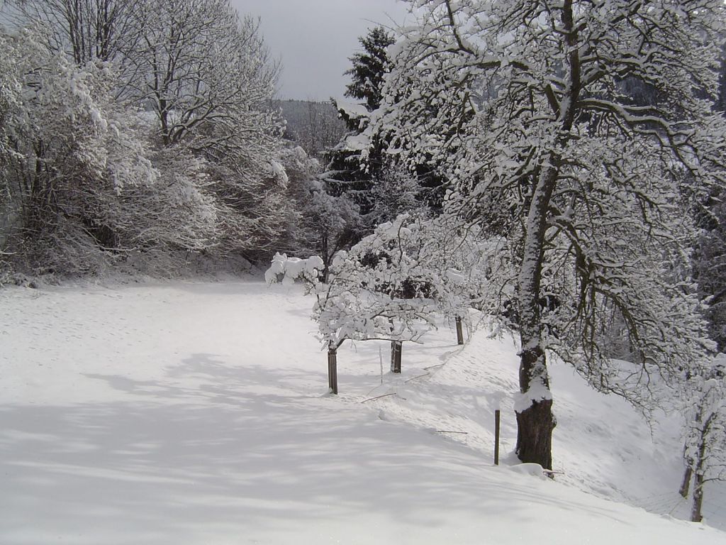 Stroneggerhof