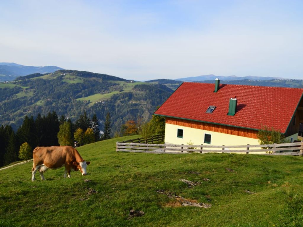 Almferienhaus Russmann