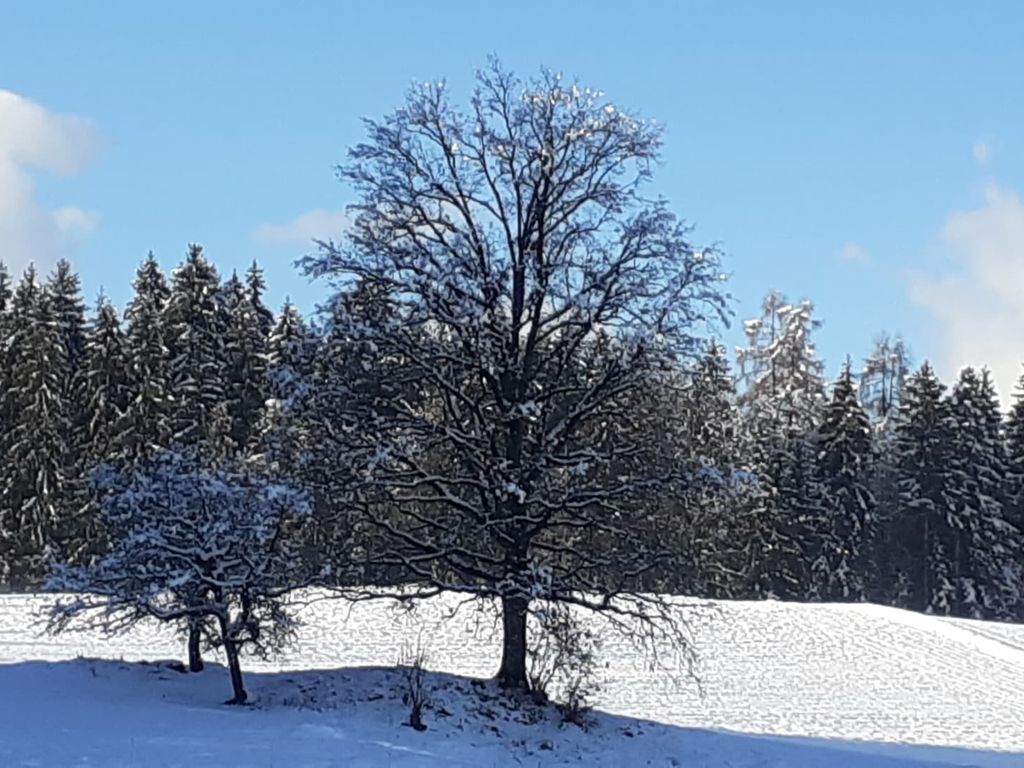 Winterlandschaft