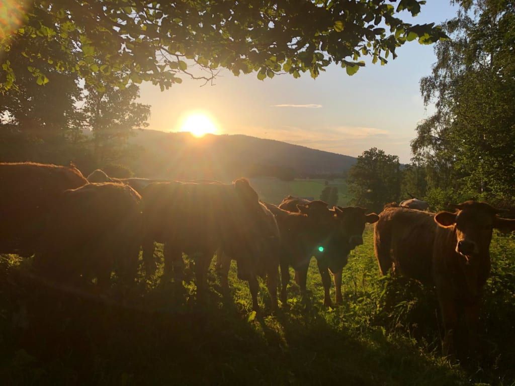Wandlhof - Fam. Prager
