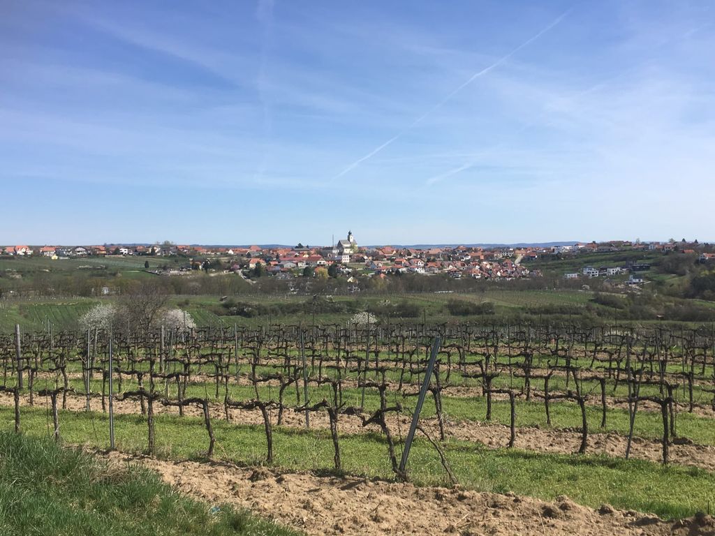Weinhof Brauner