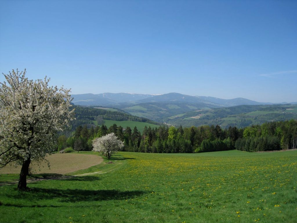 Ausblick am Wachahof