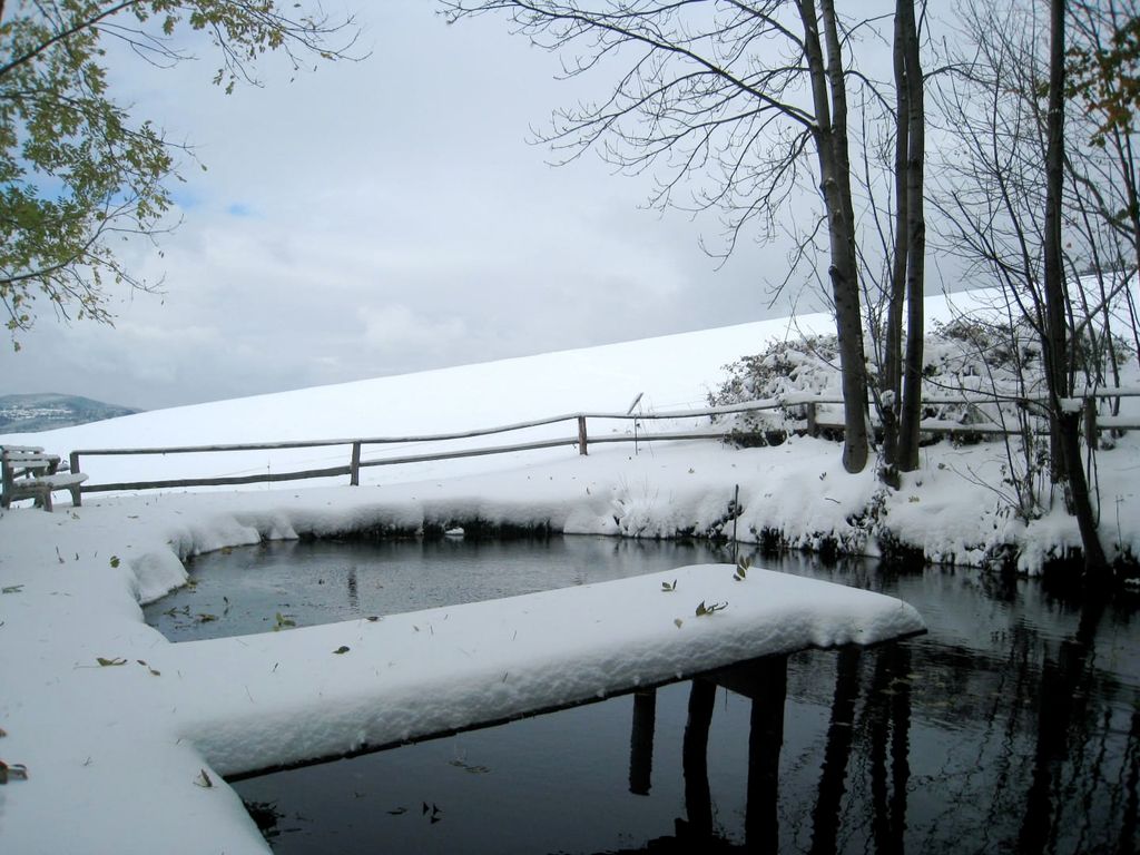 Wachahof