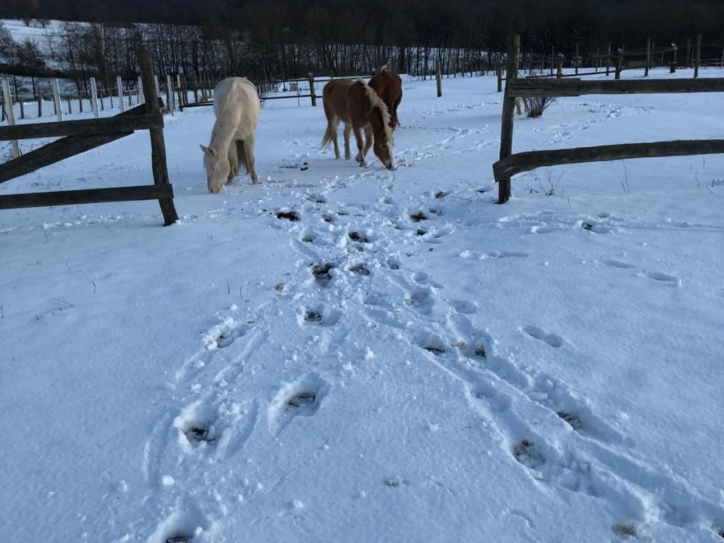 Hof zum Kleinod