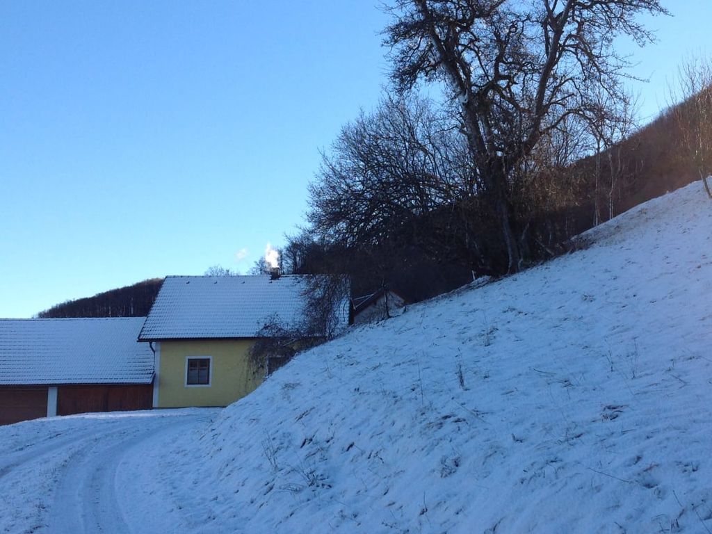 Winterlandschaft