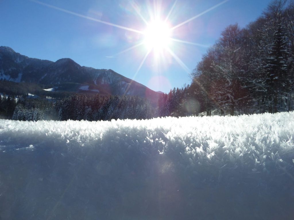 Schneekristalle