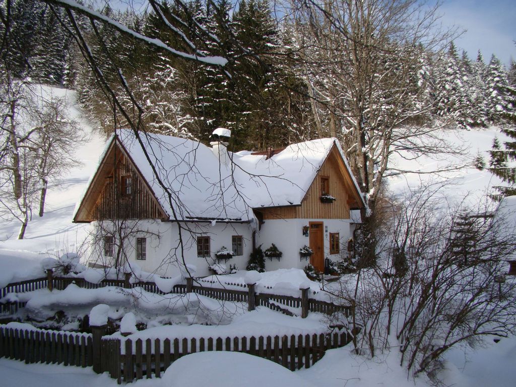 Ferienhaus-Lenzau-Teich