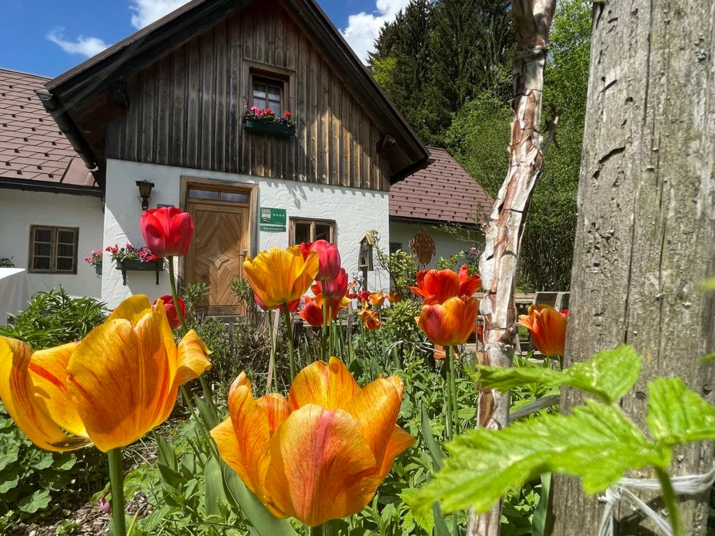 Biohof & Ferienhaus Lenzau