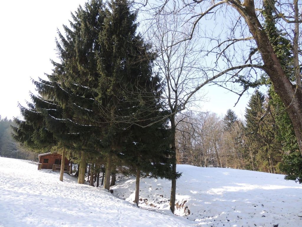 Ferienwohnung Heimberger - Rotwildgehege Winter