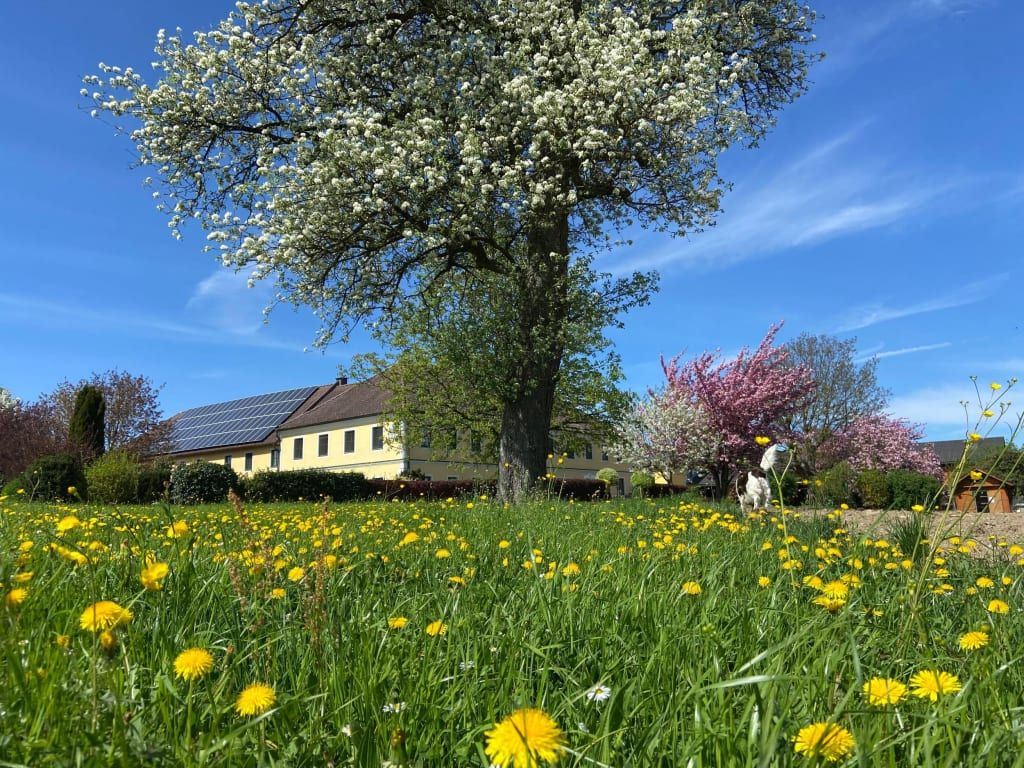 Familienbauernhof Strassbauer