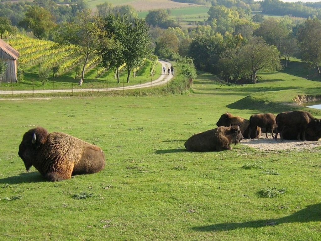Begegnung am Weinwanderweg