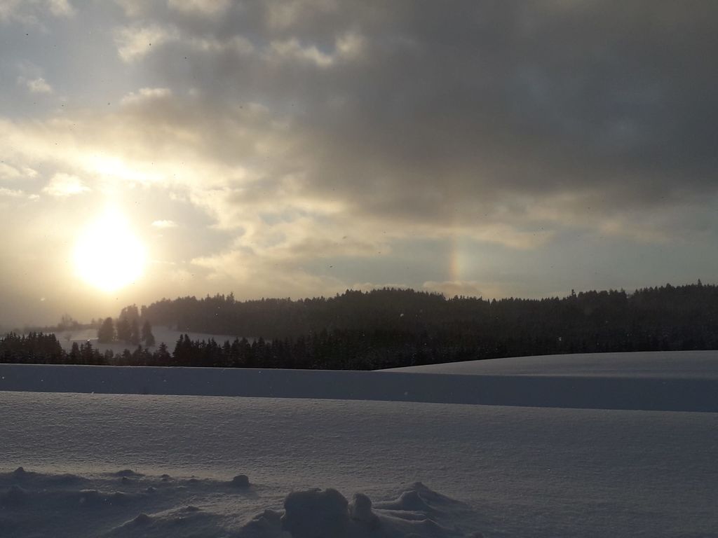 Kratochvil