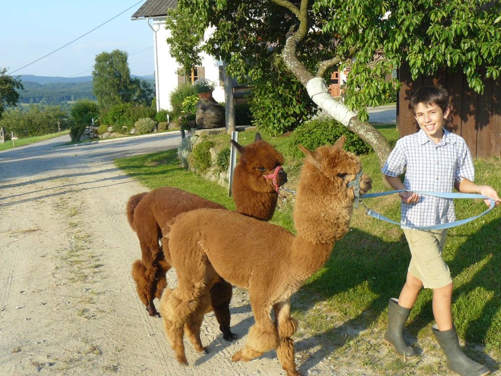 Lorenz mit Momo und Boris