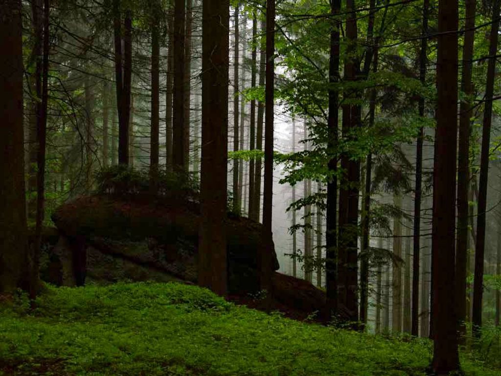 Biberhof im Mühlviertel
