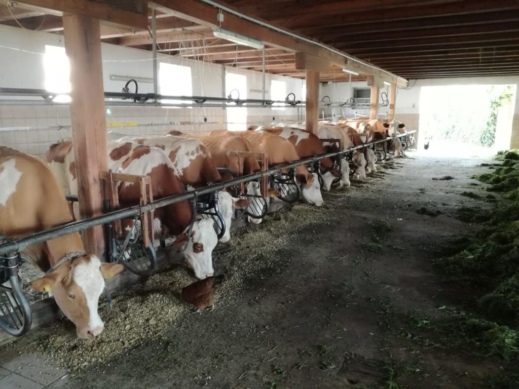 Ferienhof Hotz - direkt am Schilift