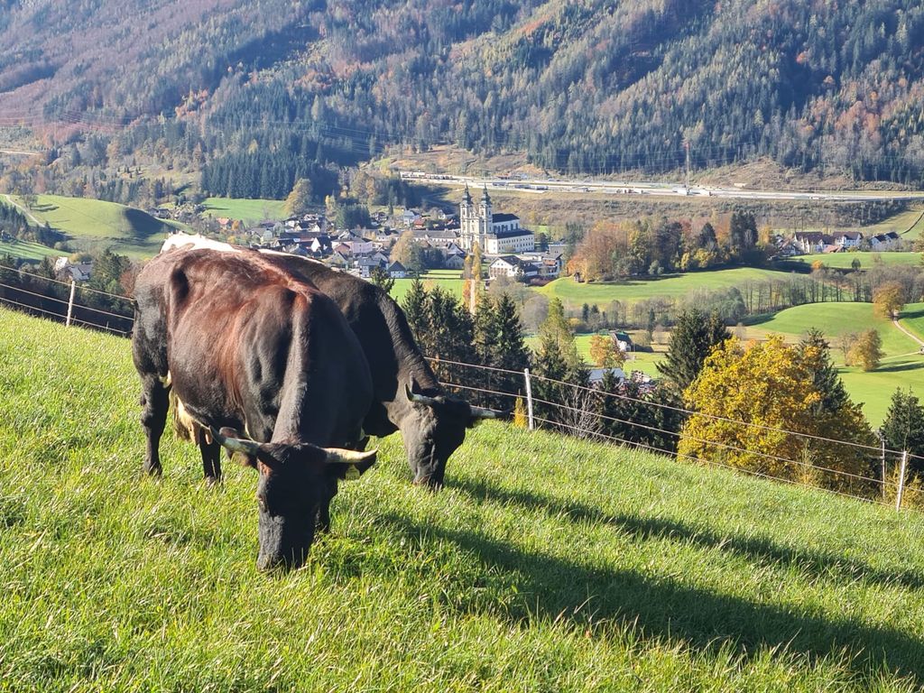 Blick ins Tal
