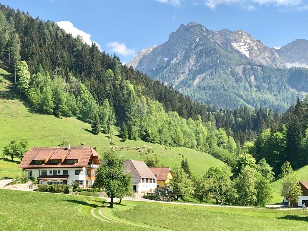 Hintergrabenbauer 28.05.2020