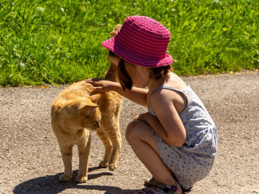 Ein Kind streichelt eine Katze im Freien, ein Tierkontakt-Erlebnis für Gäste auf dem Bauernhof.