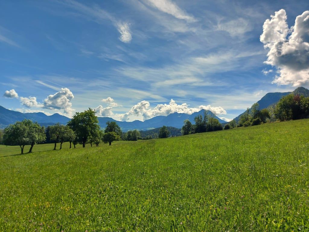 Chalet Troadkasten - Biohof Kreilgut