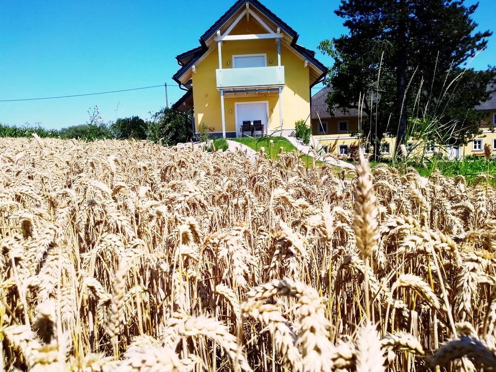 Presshaus mit Weizenfeld